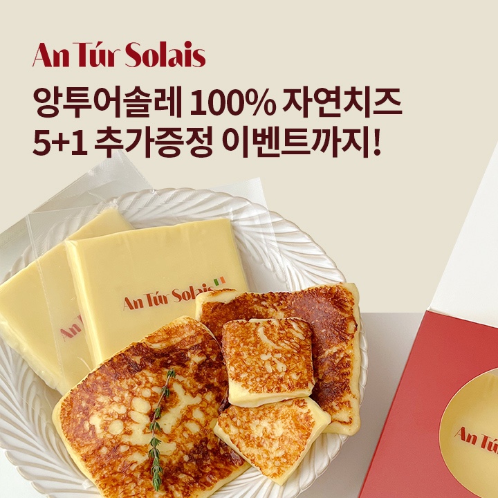 마이카다이렉트 이미지