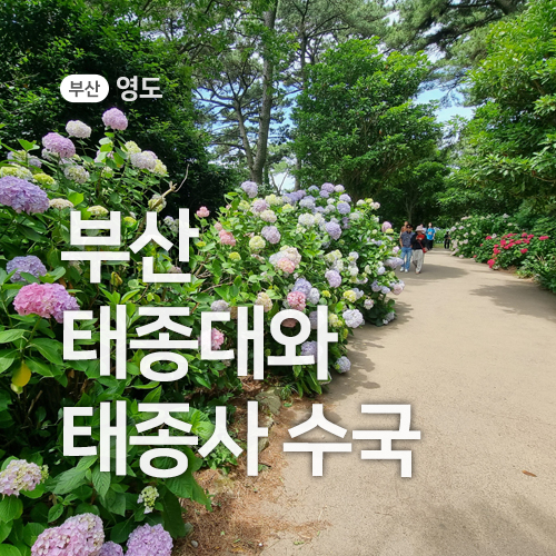 태종대종점유람선매표소 이미지