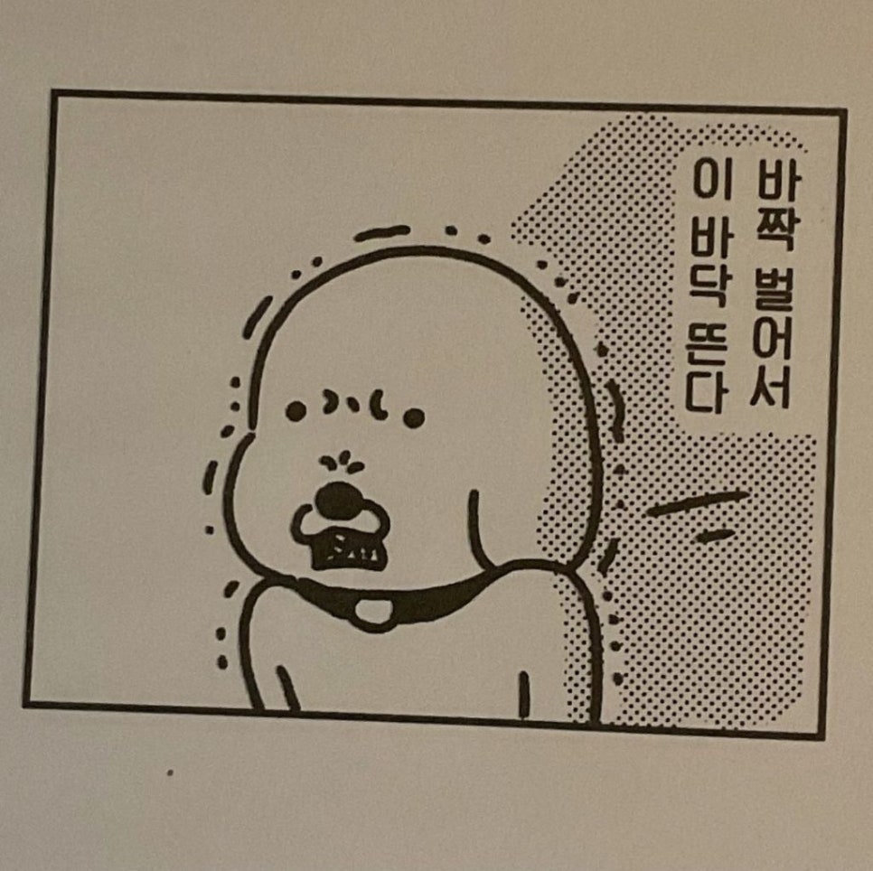 카페콩티 이미지