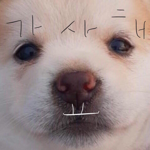 무의랑물회랑 이미지