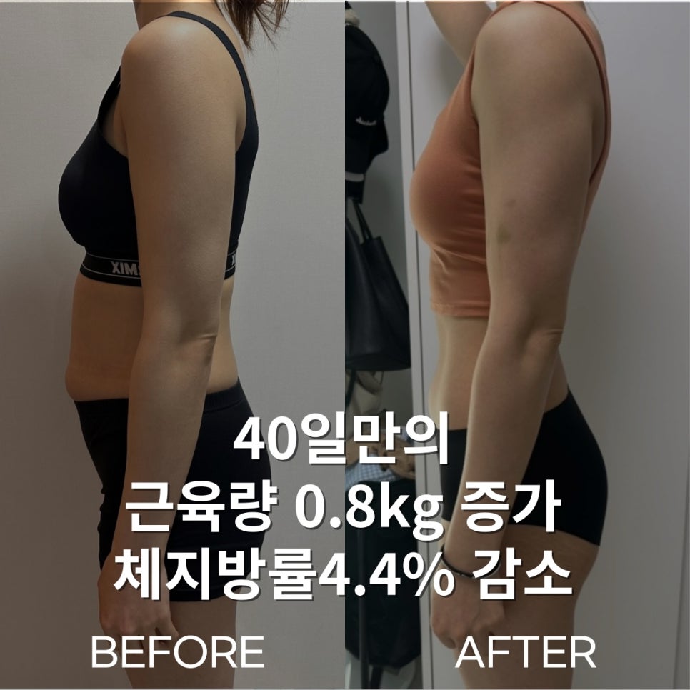 스테이피트니스둔전점 이미지