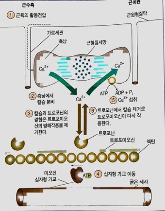 피트니스209 이미지