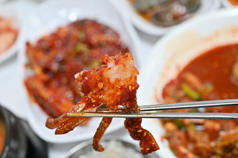 몽돌이해물칼국수 이미지