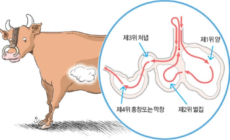 대통양대창 이미지