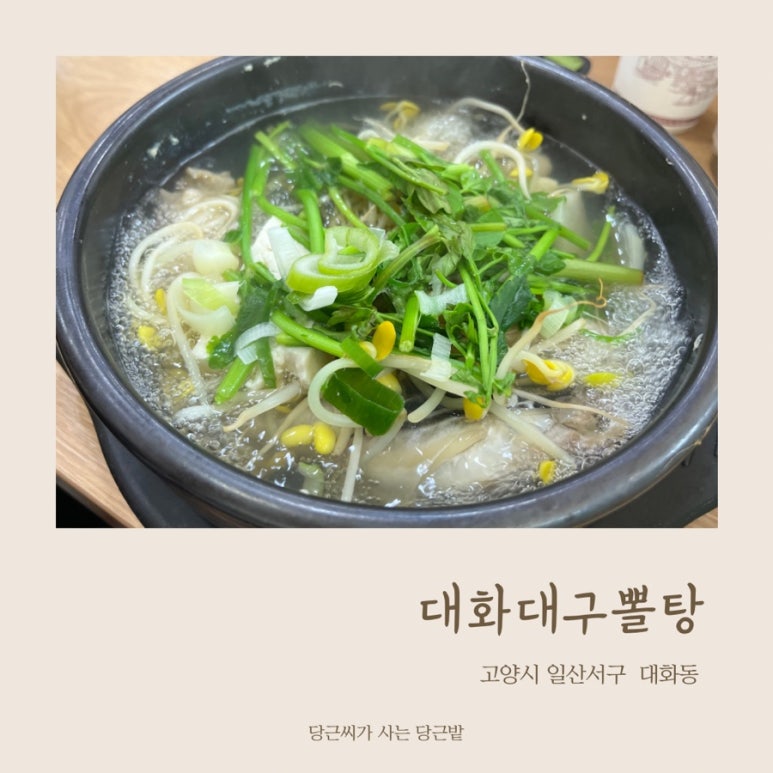 대화대구뽈탕 이미지