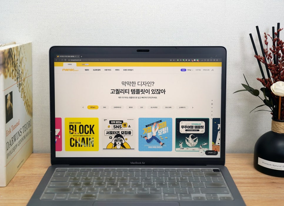 망고디자인 이미지