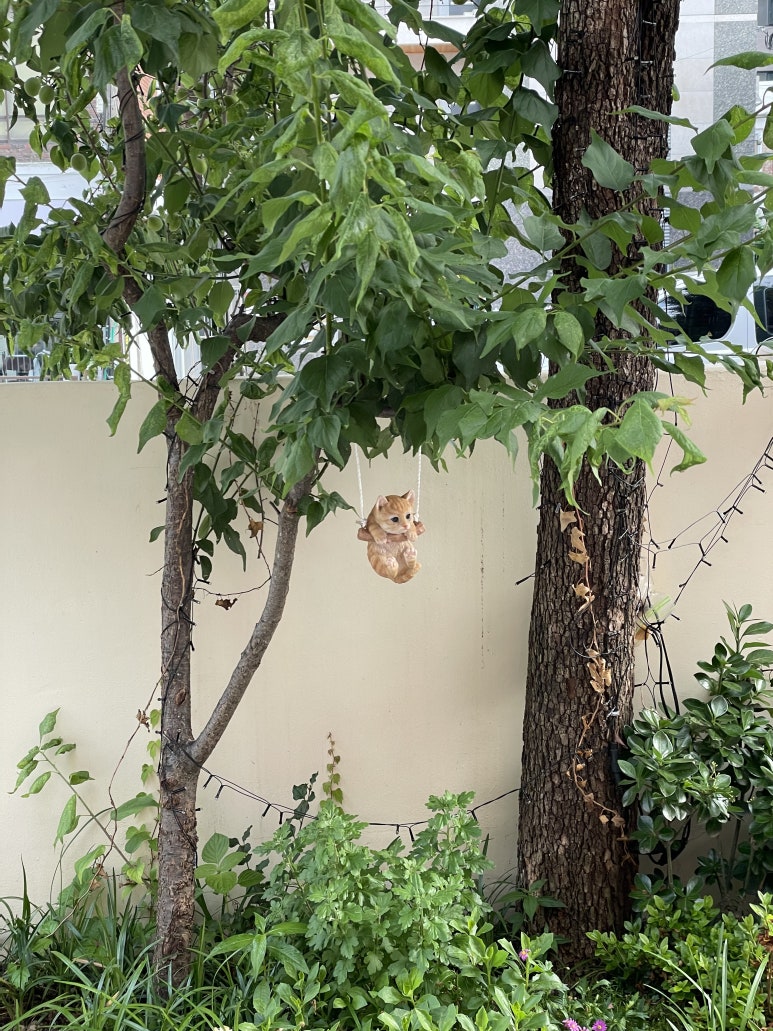 카페 단하루 이미지