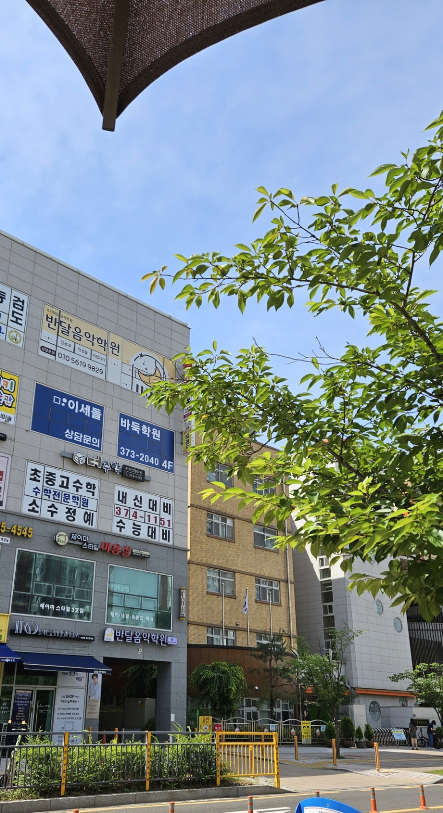 사인엘 이미지