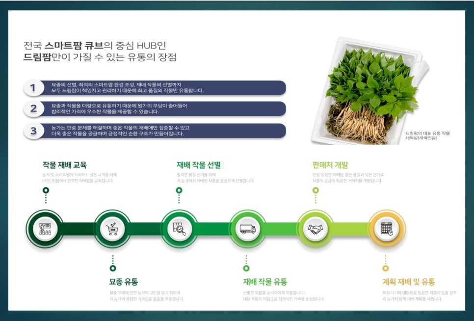 드림큐브시스템 이미지