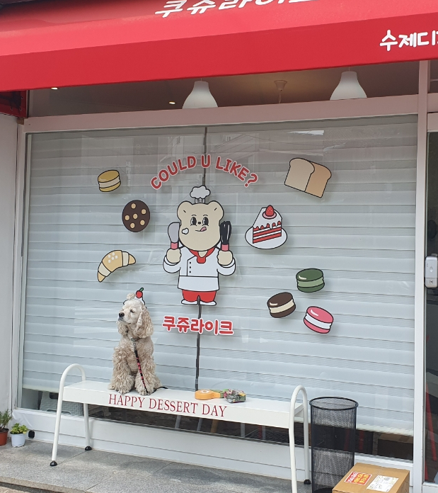 쿠쥬라이크 이미지