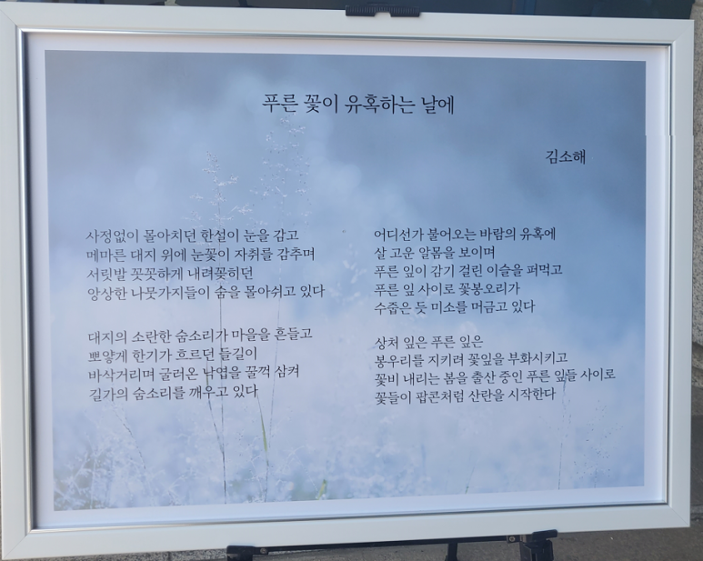 푸른길가온 이미지