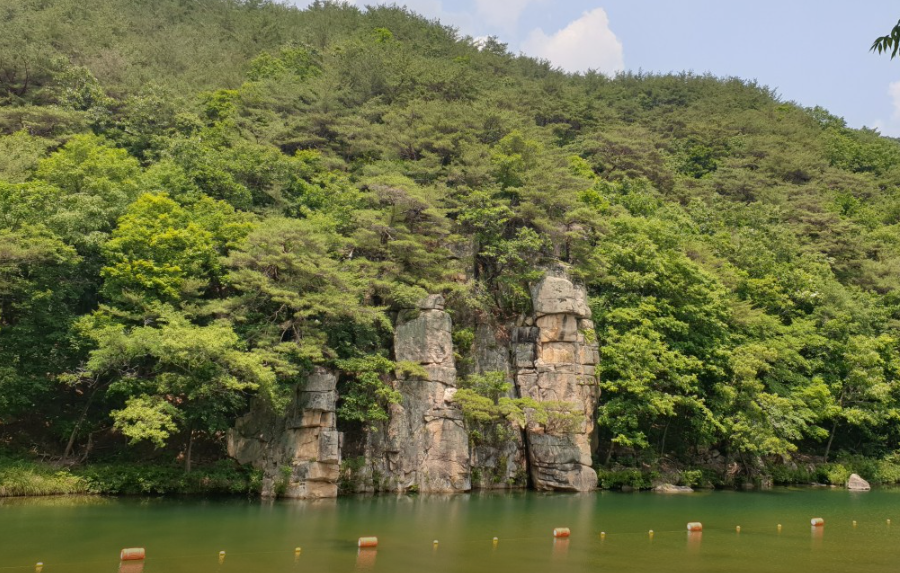 괴산숲사랑협동조합 이미지