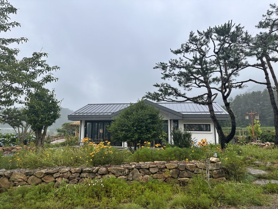 백운다실 이미지