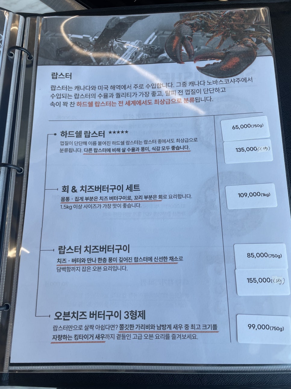 도시크랩 이미지