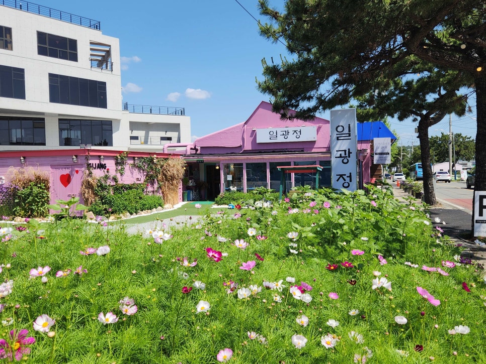 정성소갈비찜갈비탕 본점 이미지