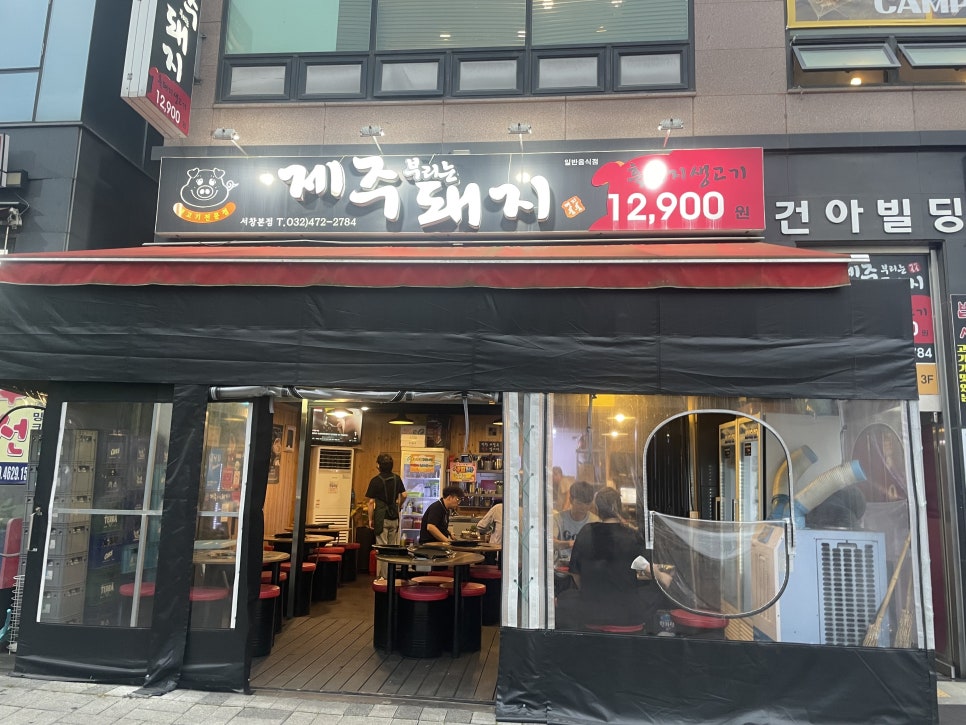 제주부리는돼지 이미지
