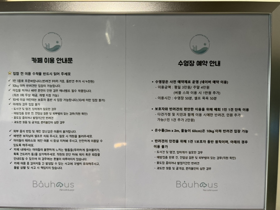 하남 애견카페 바우하우스, 강아지 수영장 이용 후기 — 사진 6