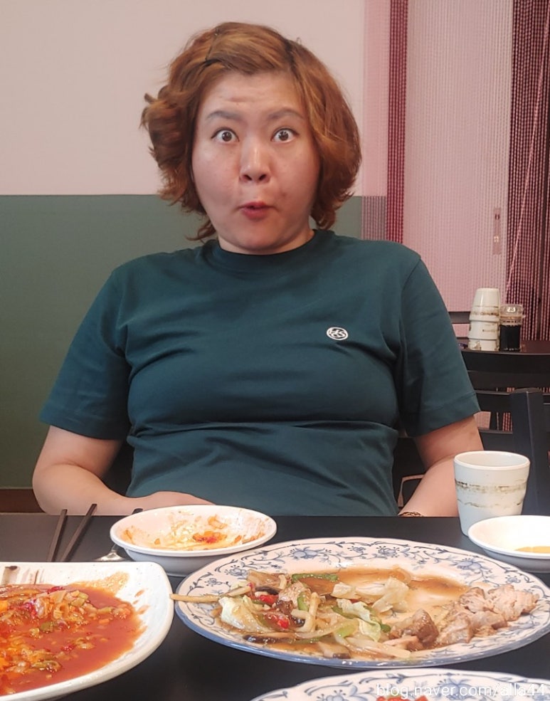 아방성 이미지