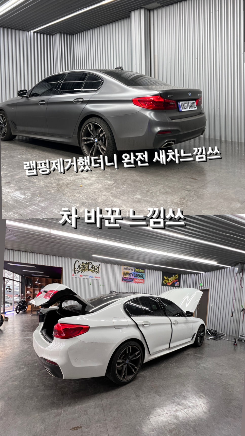 나인티게러지 이미지