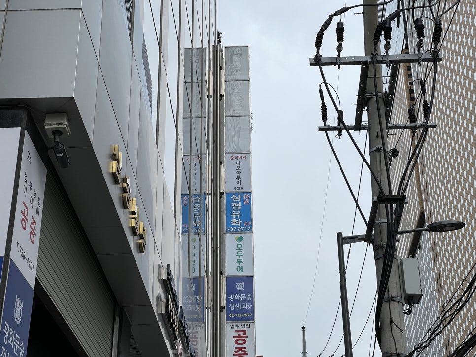 (주)다모아투어 이미지