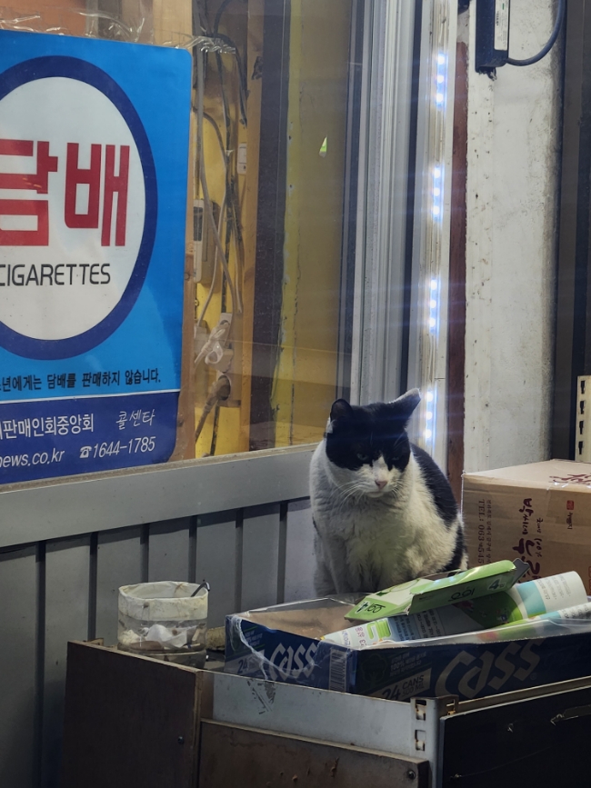 대광상회 이미지