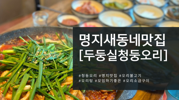 두둥실청둥오리 이미지