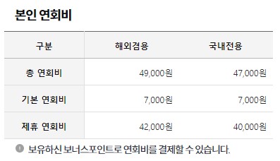 스카이플래티늄항공 이미지