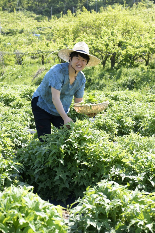 정담은떡 이미지