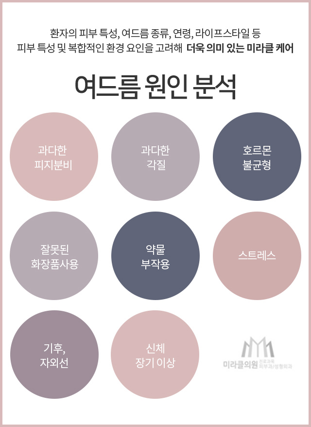 아그네스 이미지