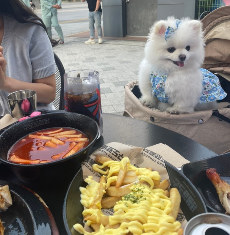구도로통닭시흥배곧점 이미지