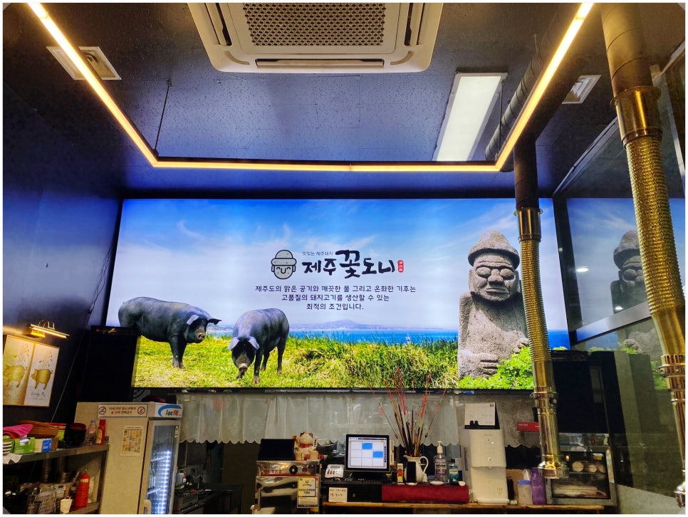 제주꽃도니 이미지