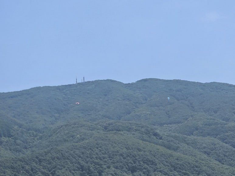 볼트커피 이미지