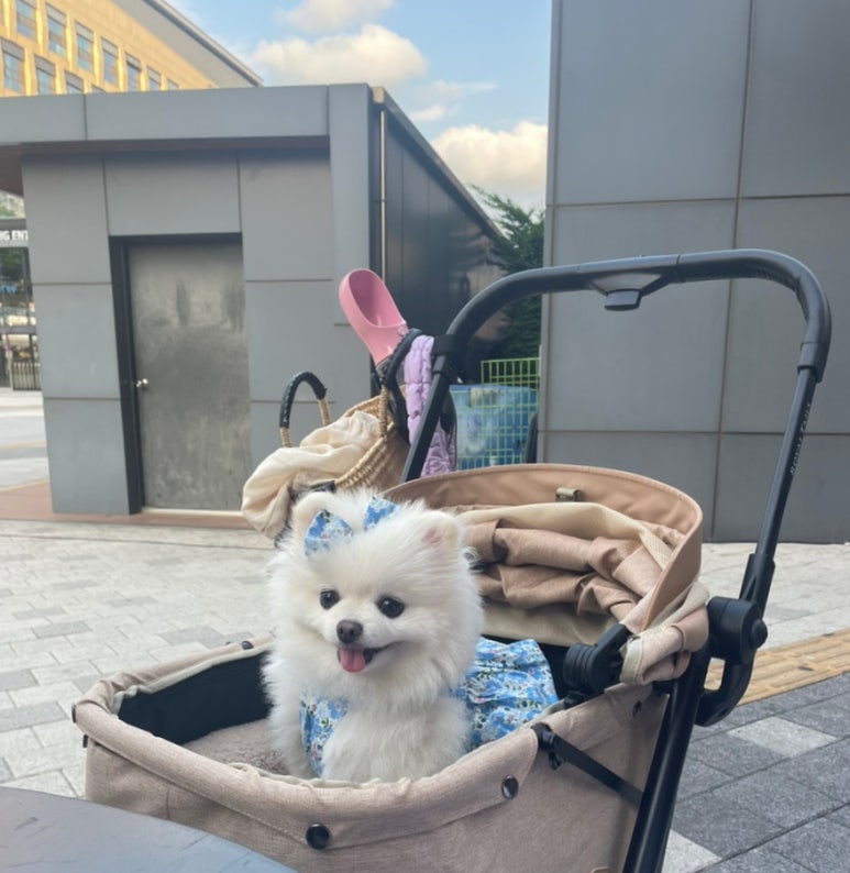 구도로통닭시흥배곧점 이미지