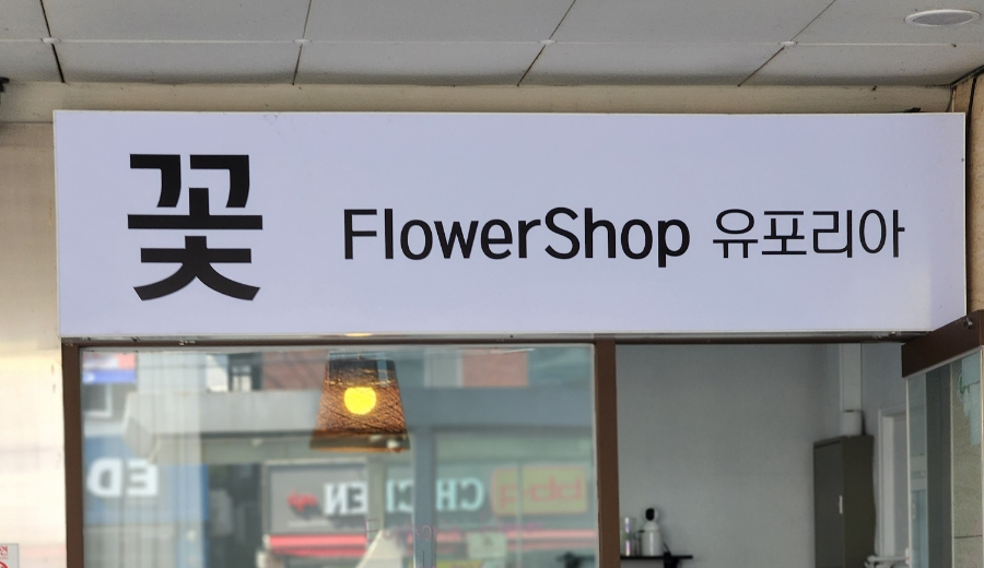 유포리아플라워 이미지