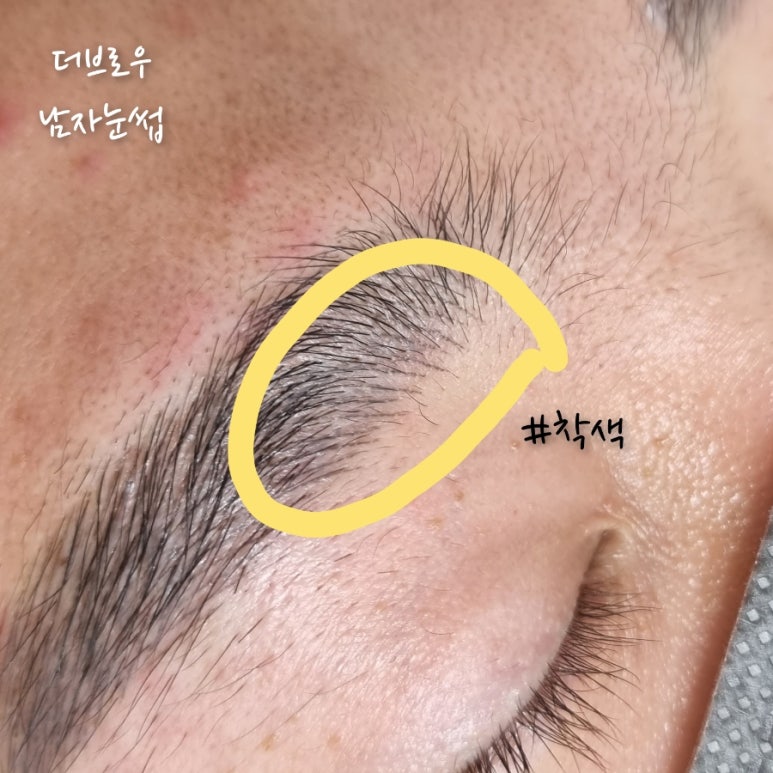 더브로우 이미지