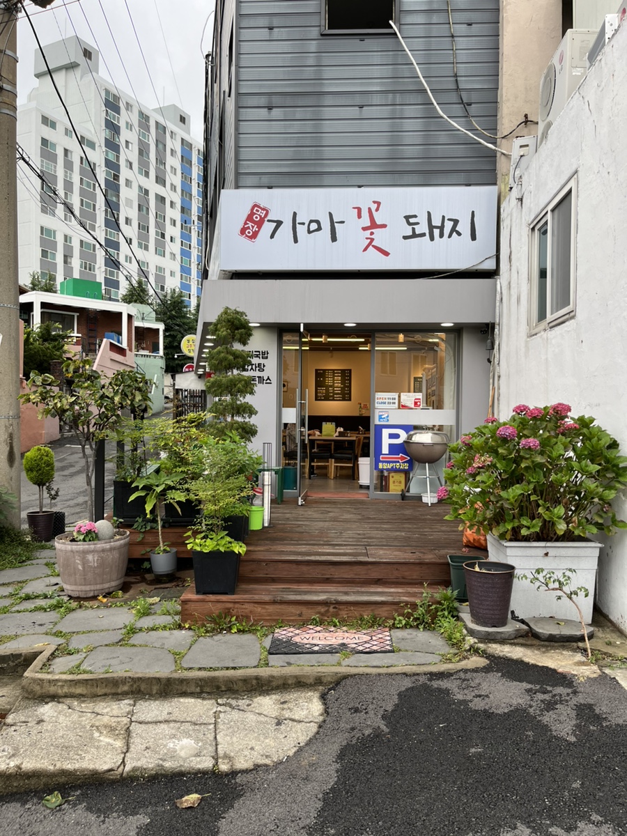 가마꽃돼지 이미지