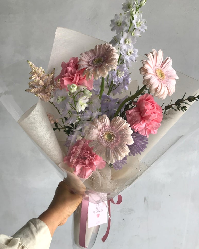 플로제 이미지