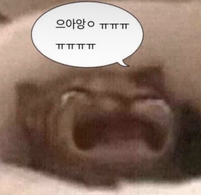 가차샵 이미지