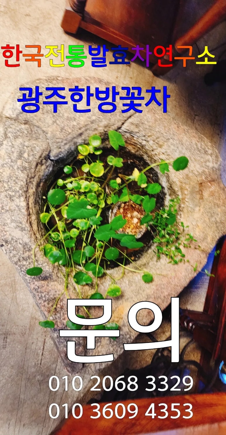 인재육성아카데미평생교육원 이미지