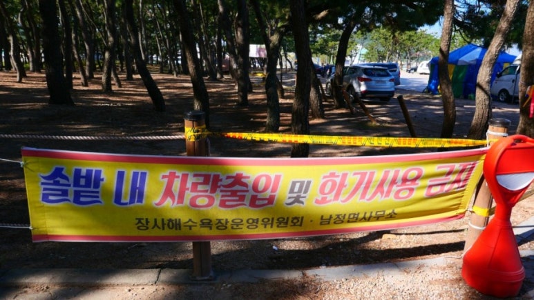 장사해수욕장 야영장 이미지