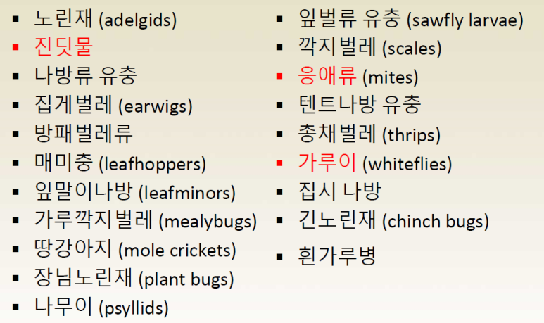 엠피드 이미지