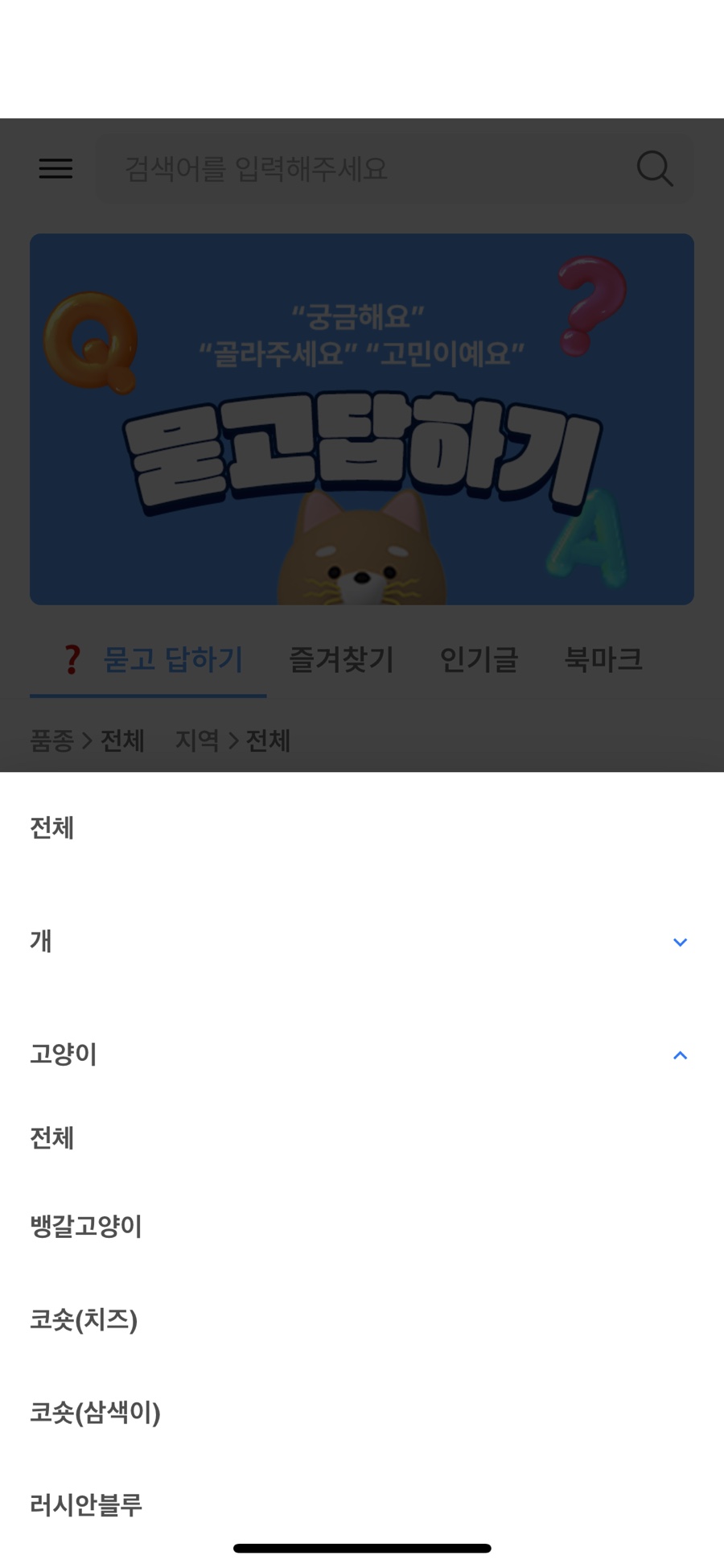 오모오모 이미지