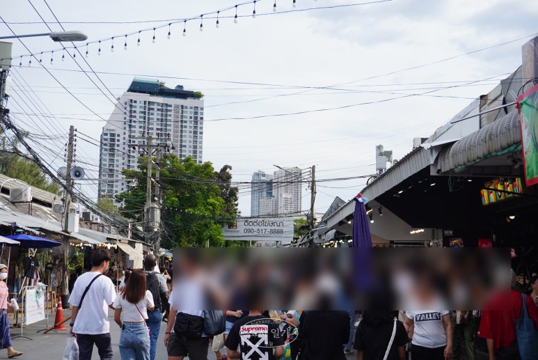 사바조이 이미지