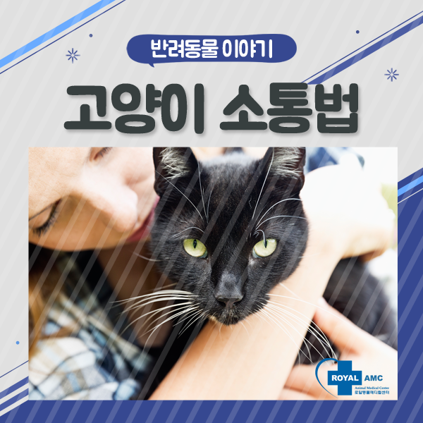 지키미커뮤니케이션 이미지