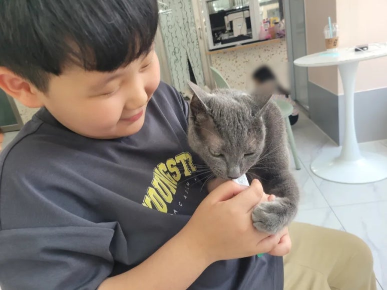 애견카페 포 이미지