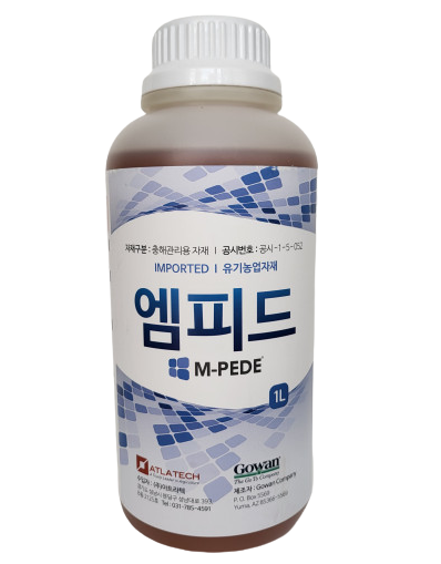 엠피드 이미지