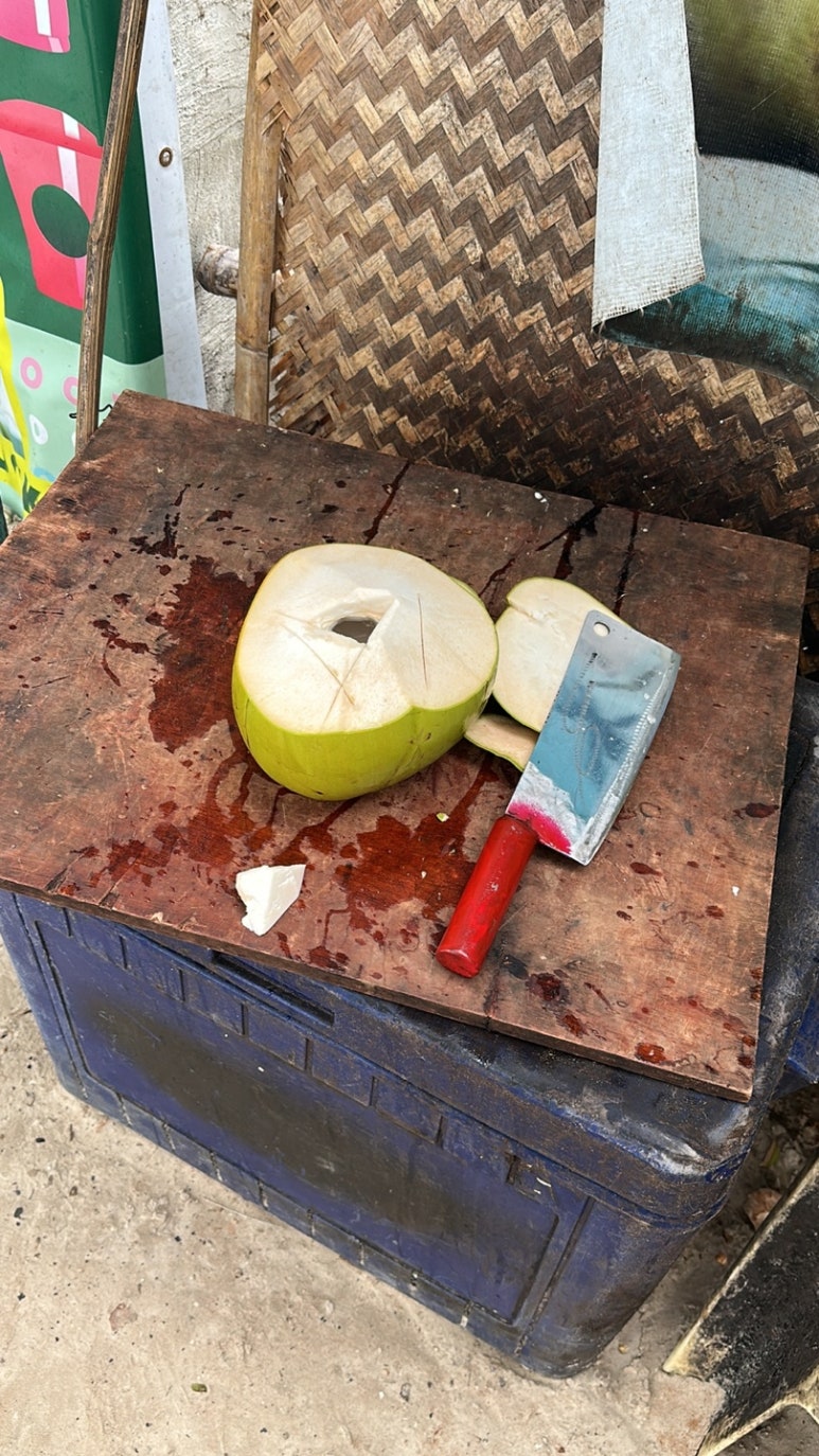 칼리보 이미지