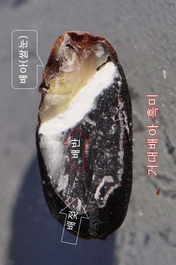황금농산 이미지