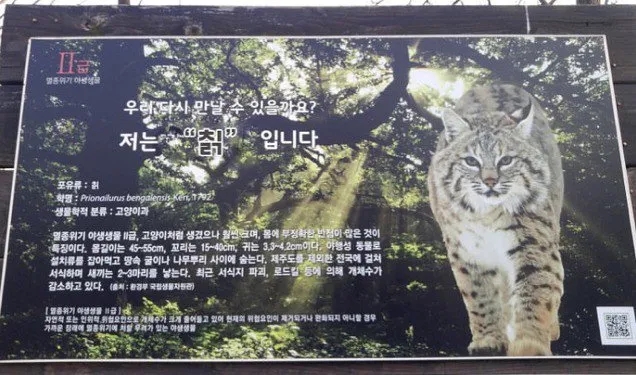 청산칡냉면 이미지