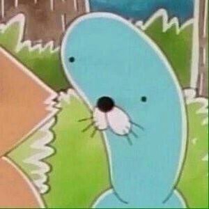 더허 이미지